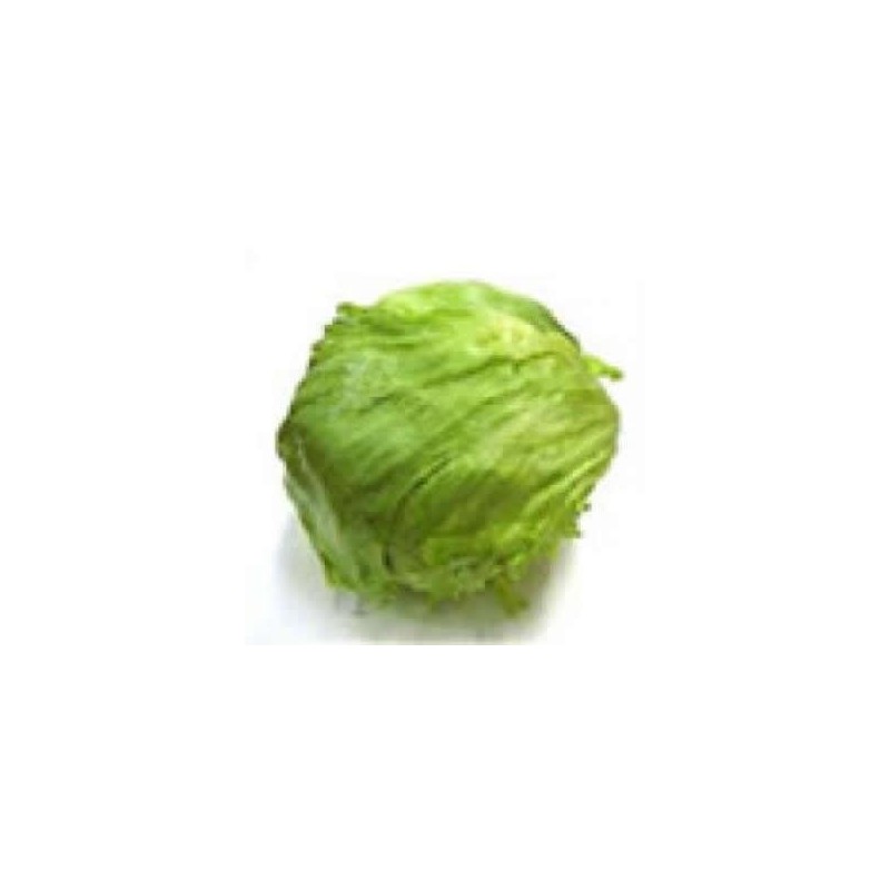 LECHUGA ICEBERG PRODUCTO NATURAL BANDEJA 6 PLANTO