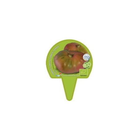 TOMATE RAF PRODUCTO NATURAL BANDEJA6 PLANTONES