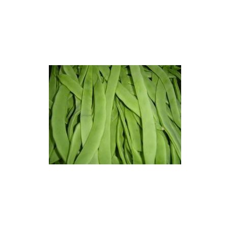 JUDIA MATA ALTA PRODUCTO NATUR BANDEJA 6 PLANTONES