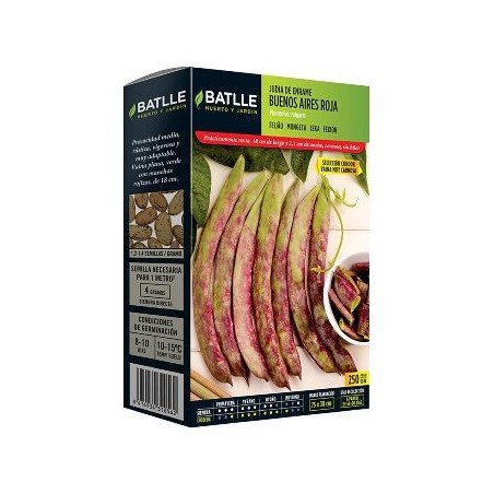 SEMILLAS JUDIA BUENOS AIRES ROJA 250GR