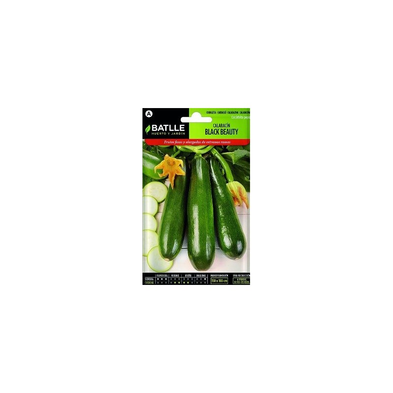 SEMILLAS CALABACIN BLACK BEAUTY 10GR