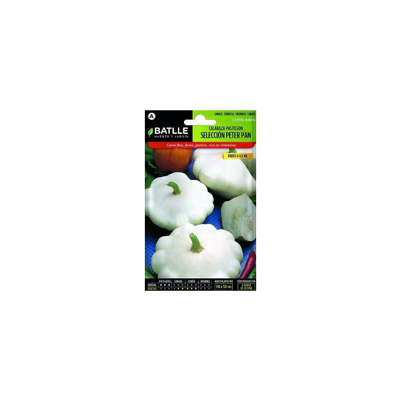 SEMILLAS CALABAZA PASTISSON PETER PAN 6GR