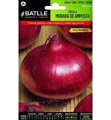 SEMILLAS CEBOLLA MORADA AMPOSTA 4GR