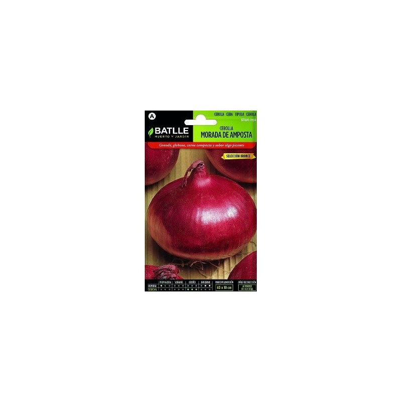 SEMILLAS CEBOLLA MORADA AMPOSTA 4GR