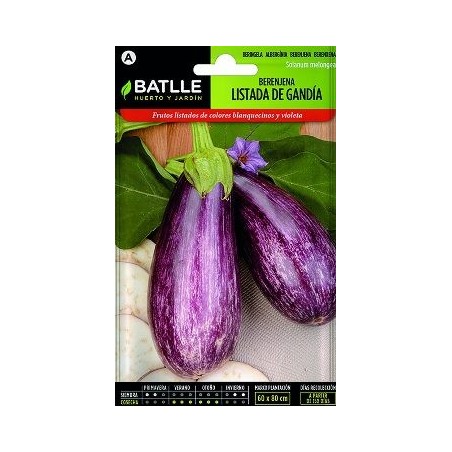 SEMILLAS BERENJENA LISTADA GANDIA 2GR