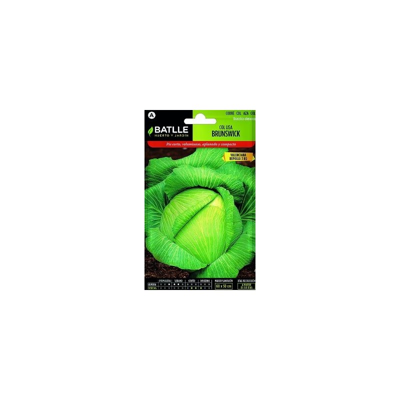 SEMILLAS COL BRUNSWICK VALENCIANA 10GR