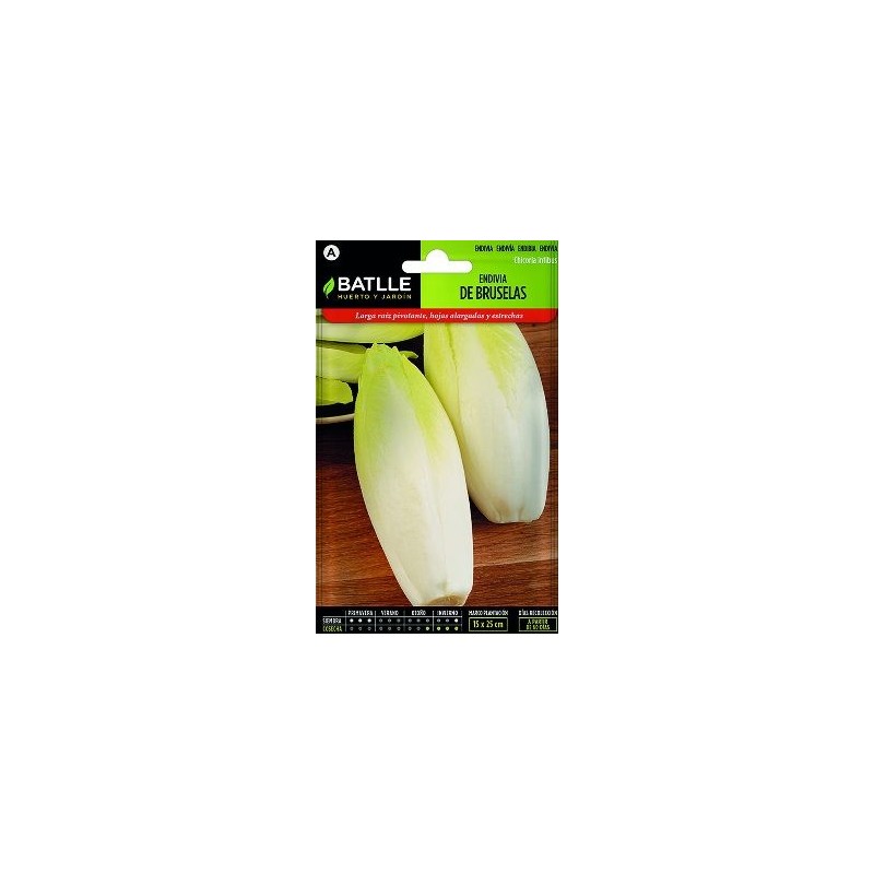 SEMILLAS ENDIVIA BRUSELAS 10GR