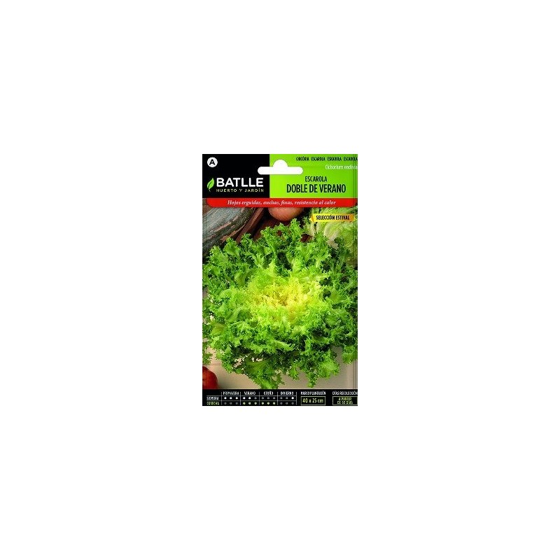 PLATO PLASTICO NAXOS 20CM VERDE