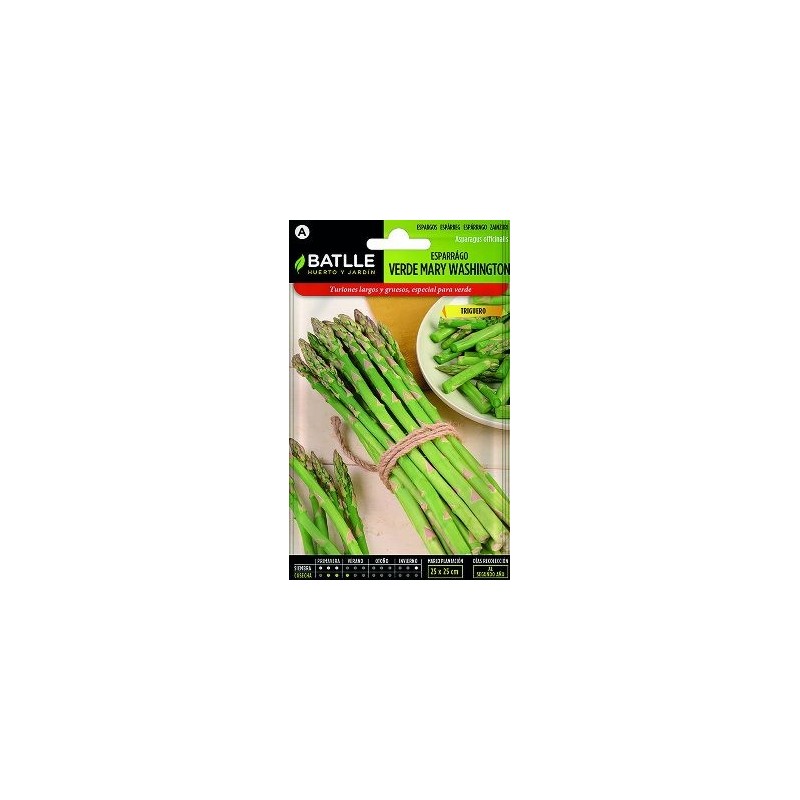 SEMILLAS ESPARRAGO VERDE 5GR