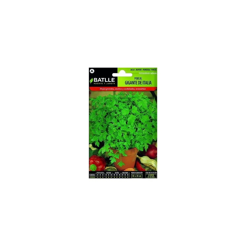 SEMILLAS PEREJIL GIGANTE 15GR
