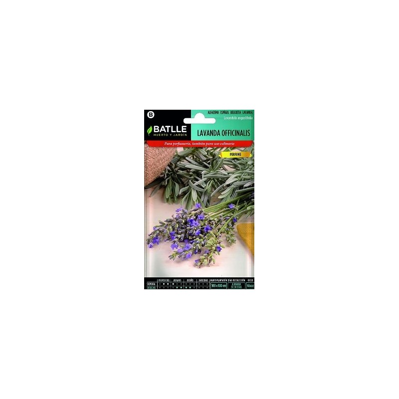 SEMILLAS LAVANDA 1GR