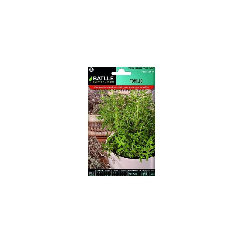 TARRINA LIVING COLORES