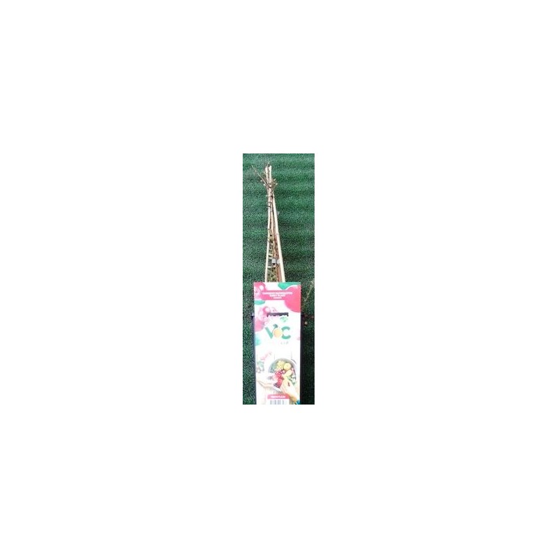 ARANDANO ROJO MACROCARPON CRANBERRY BLACK 2L
