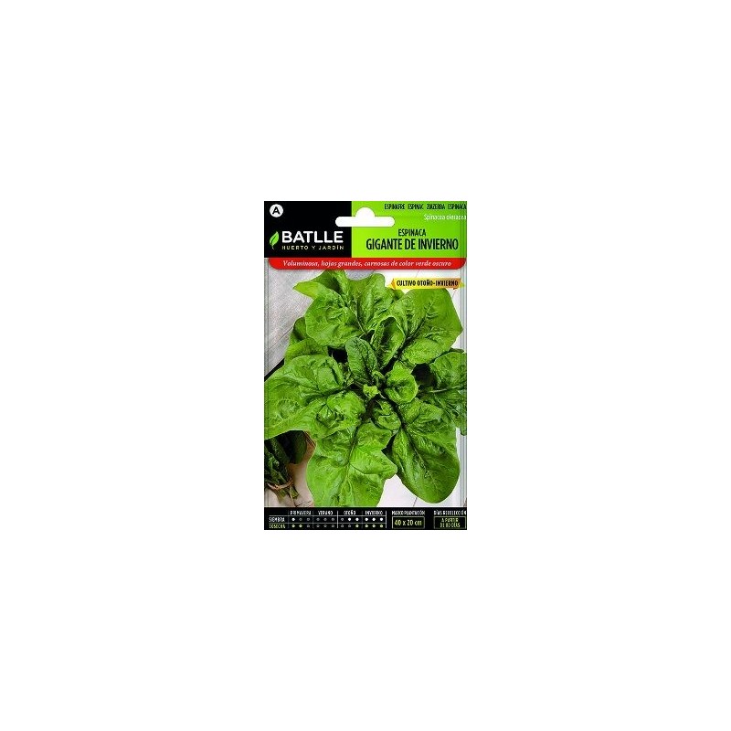 SEMILLAS ESPINACA GIGANTE DE INVIERNO 15GR