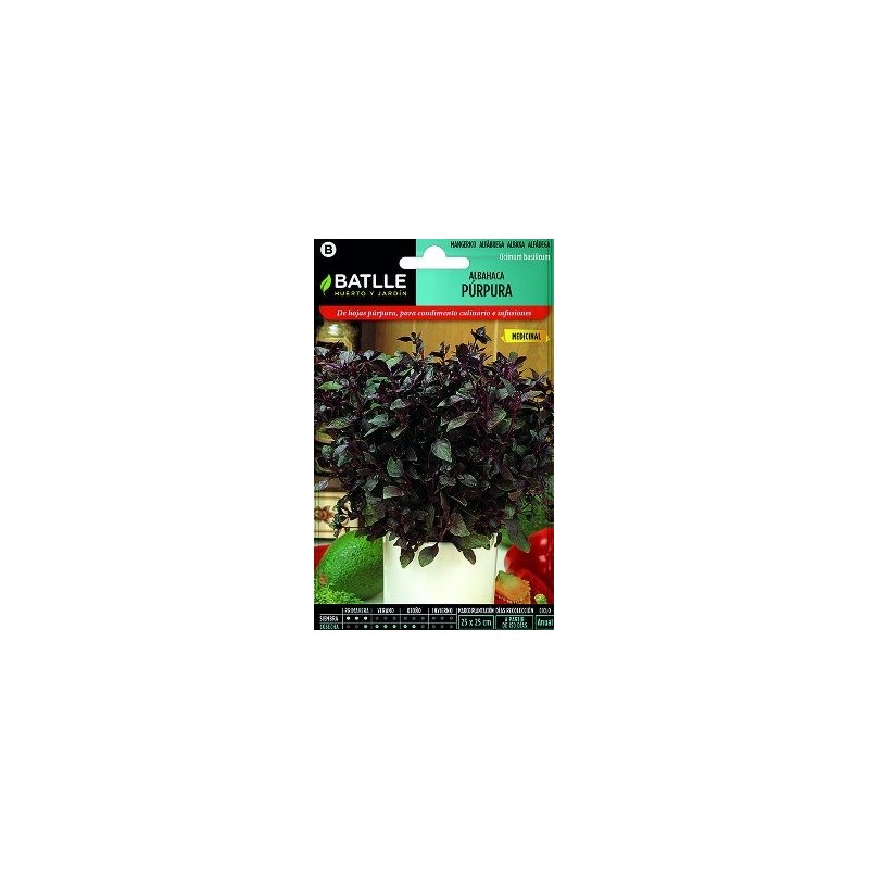 SEMILLAS ALBAHACAPURPURA 2GR