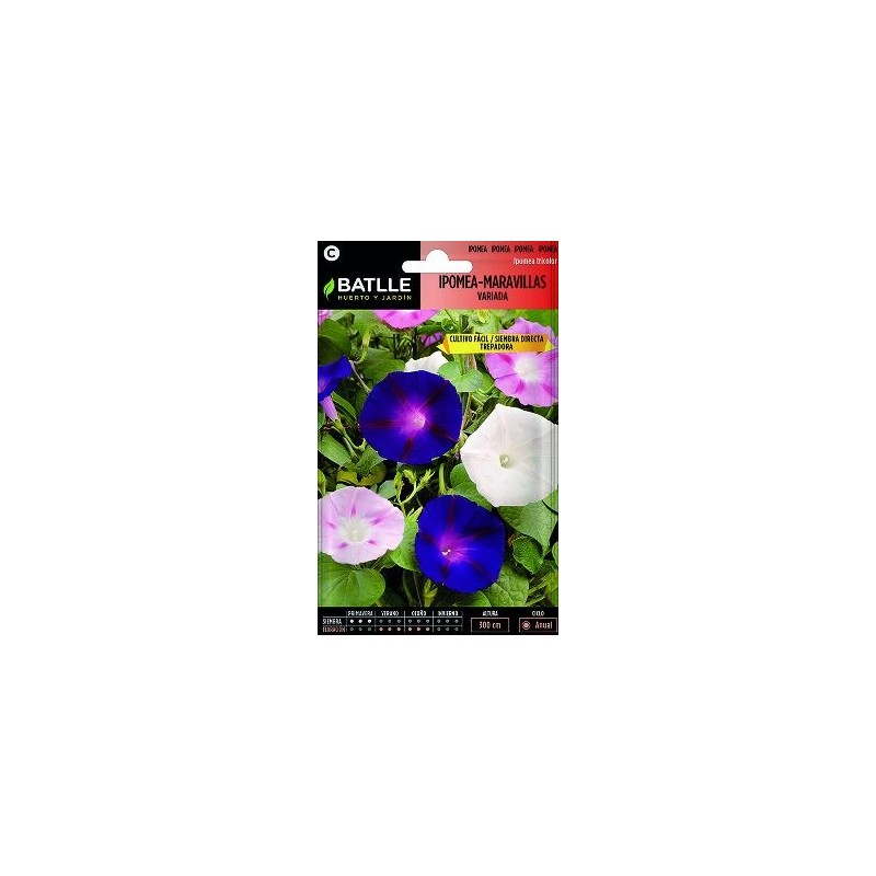SEMILLAS IPOMEA MARAVILLAS VARIADA 10GR