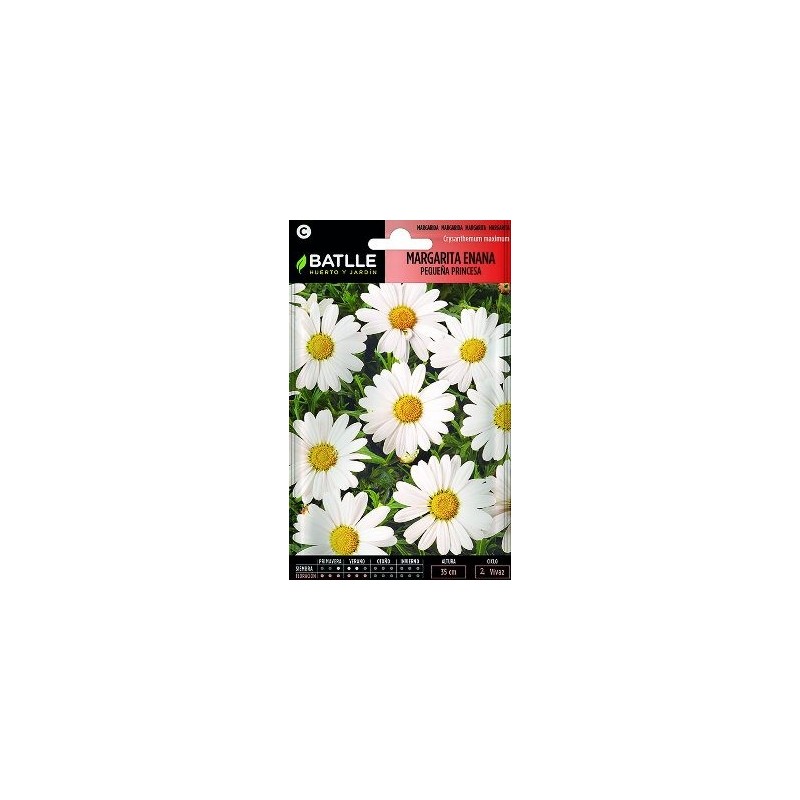 SEMILLAS MARGARITA ENANA PEQUEÑA PRINCESA 1.5GR