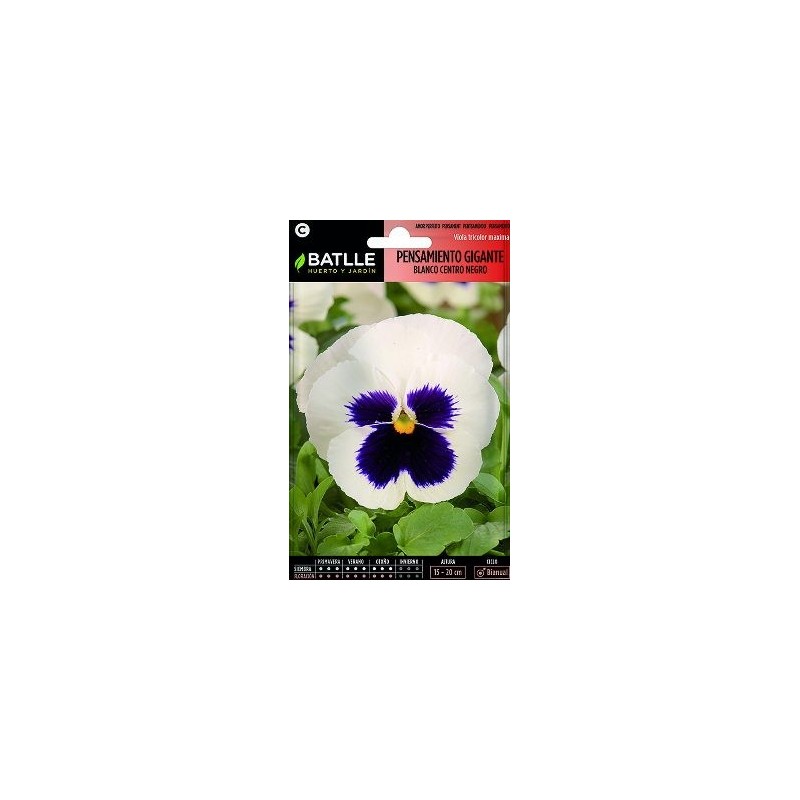 SEMILLAS PENSAMIENTO GIGANTE BLANCO C.NEGRO 0.4GR
