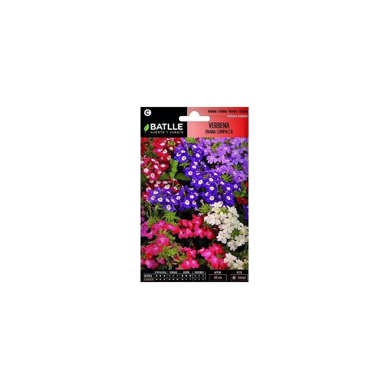 SEMILLAS VERBENA ENANA COMPACTA 0.9GR