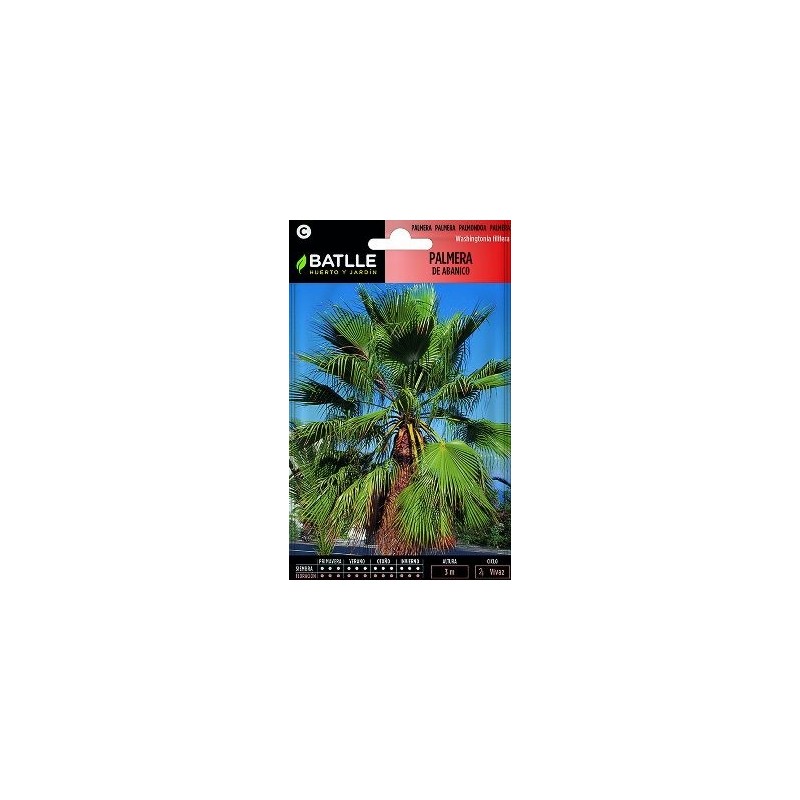 SEMILLAS PALMERA DE ABANICO 3UDS