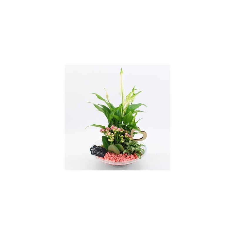 COMPOSICION PLANTAS 30CM