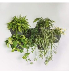 JARDIN VERTICAL ESPORA