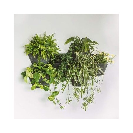 JARDIN VERTICAL ESPORA