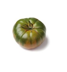 TOMATE RAF MARMANDE PACK 6 PLANTONES