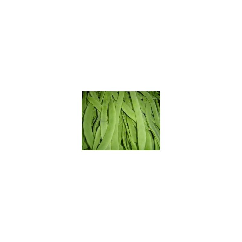 JUDIA MATA ALTA PRODUCTO NATUR BANDEJA 6 PLANTONES