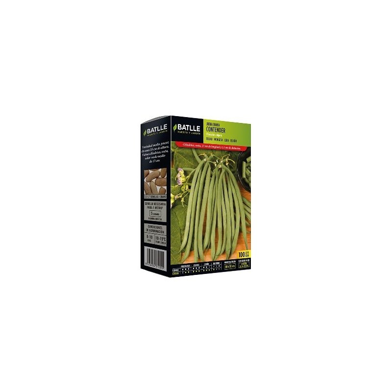 SEMILLAS JUDIA CONTENDER 250GR