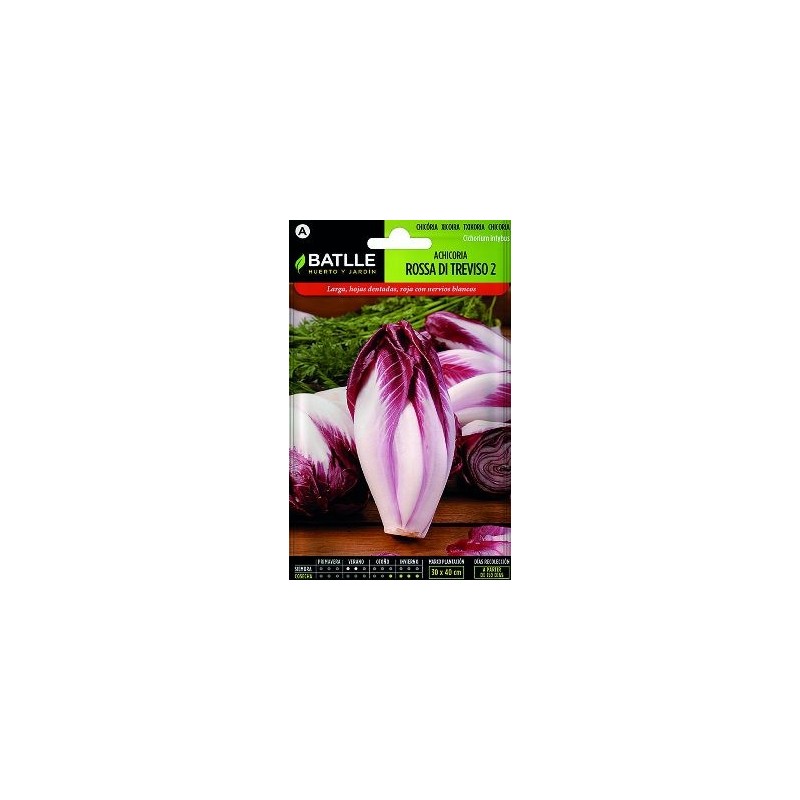 SEMILLAS ACHICORIA ROSA TREVISO 8GR