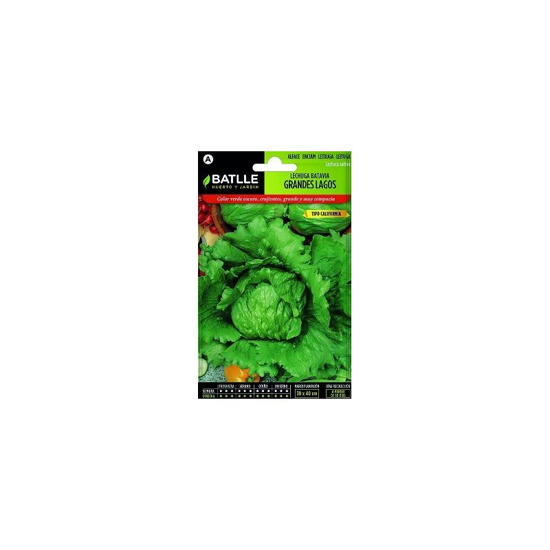 SEMILLAS LECHUGA TIPO ICEBER 6GR