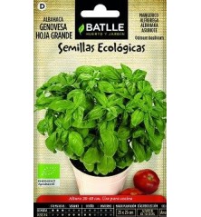 SEMILLAS ECOLOGICAS ALBAHACA GENOVESA 1,5GR