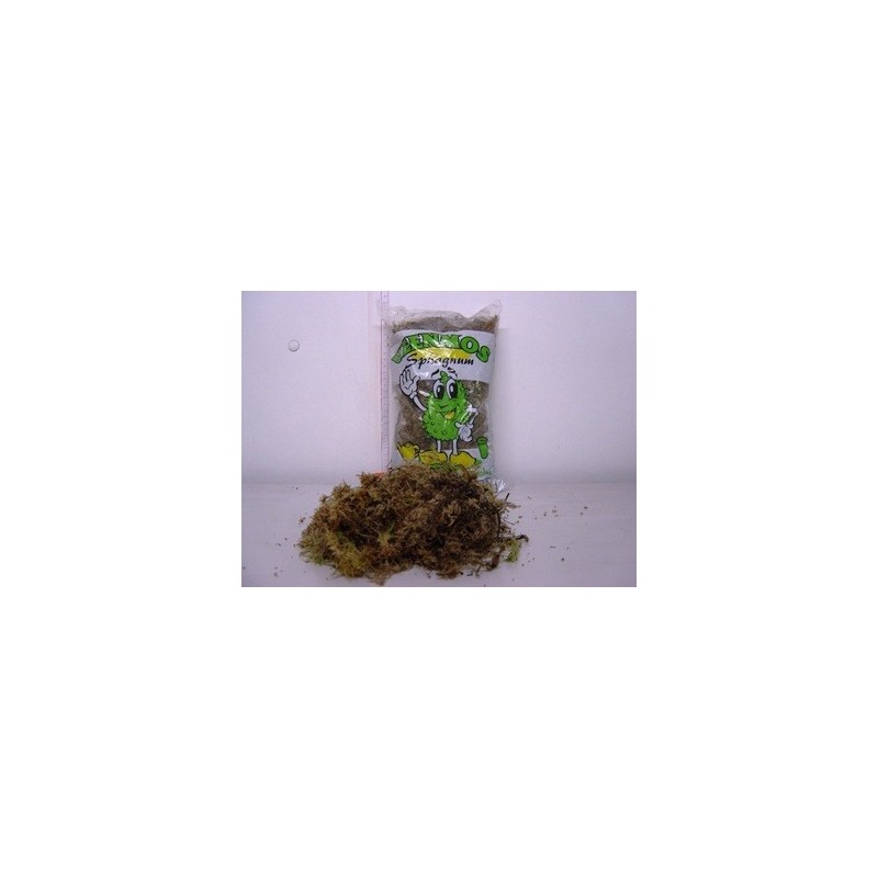 MUSGO SPHAGNUM BOLSA