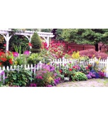 SEMILLAS DE FLORES Y PLANTAS BATLLE