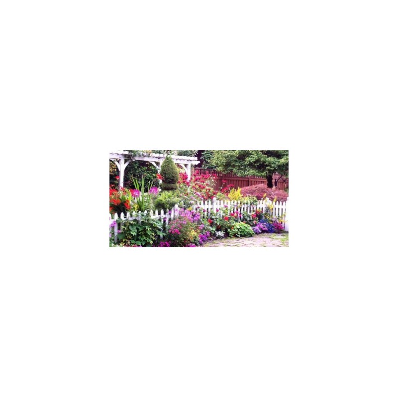 SEMILLAS DE FLORES Y PLANTAS BATLLE