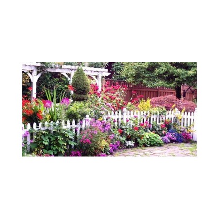 SEMILLAS DE FLORES Y PLANTAS BATLLE