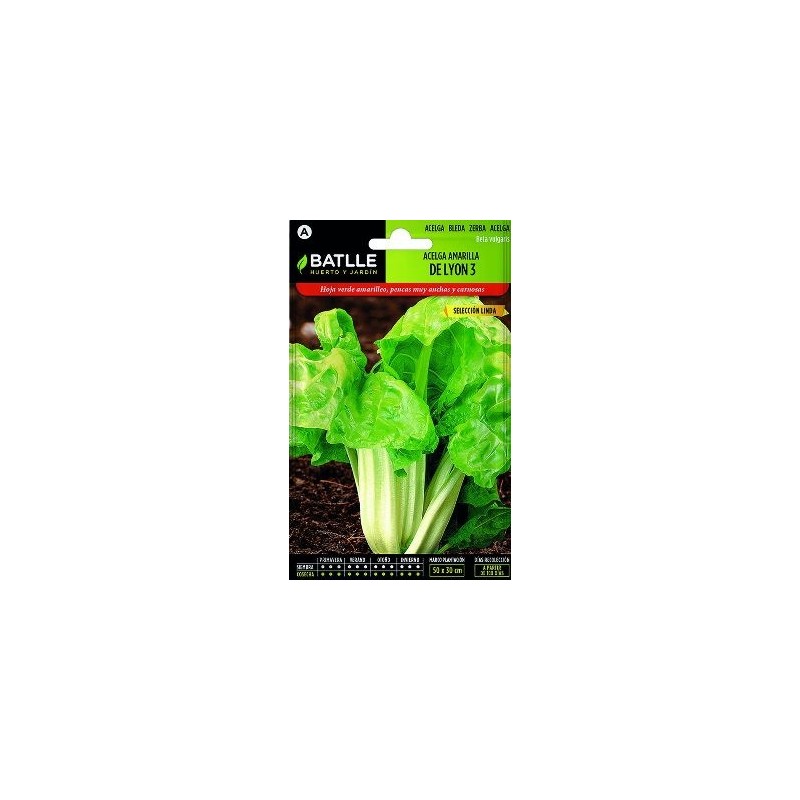 SEMILLAS ACELGA AMARILLA LYON 10GR