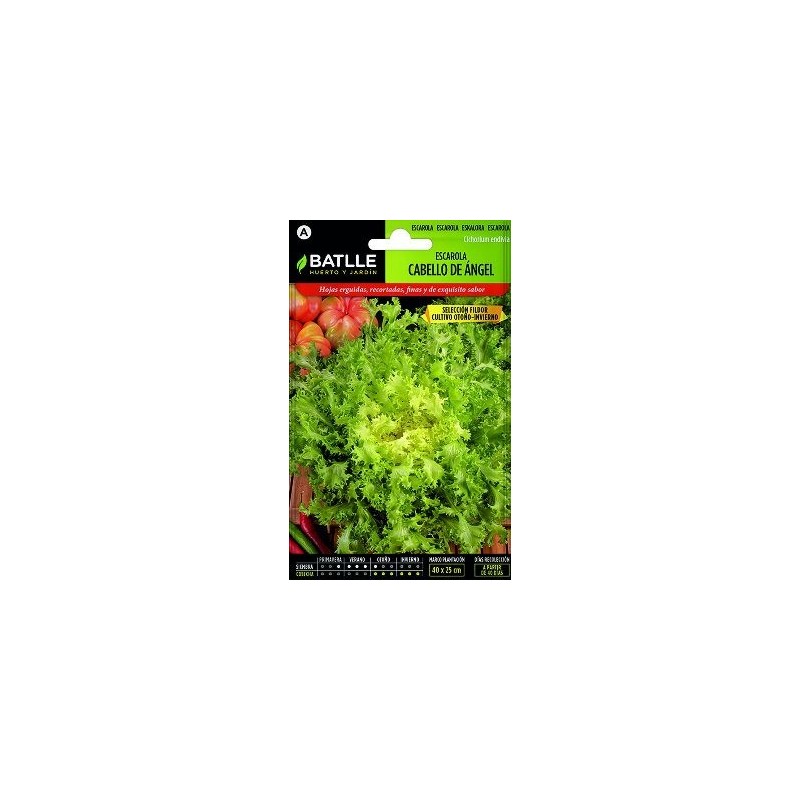 SEMILLAS ESCAROLA CABELLO ANGEL FILDOR 10GR