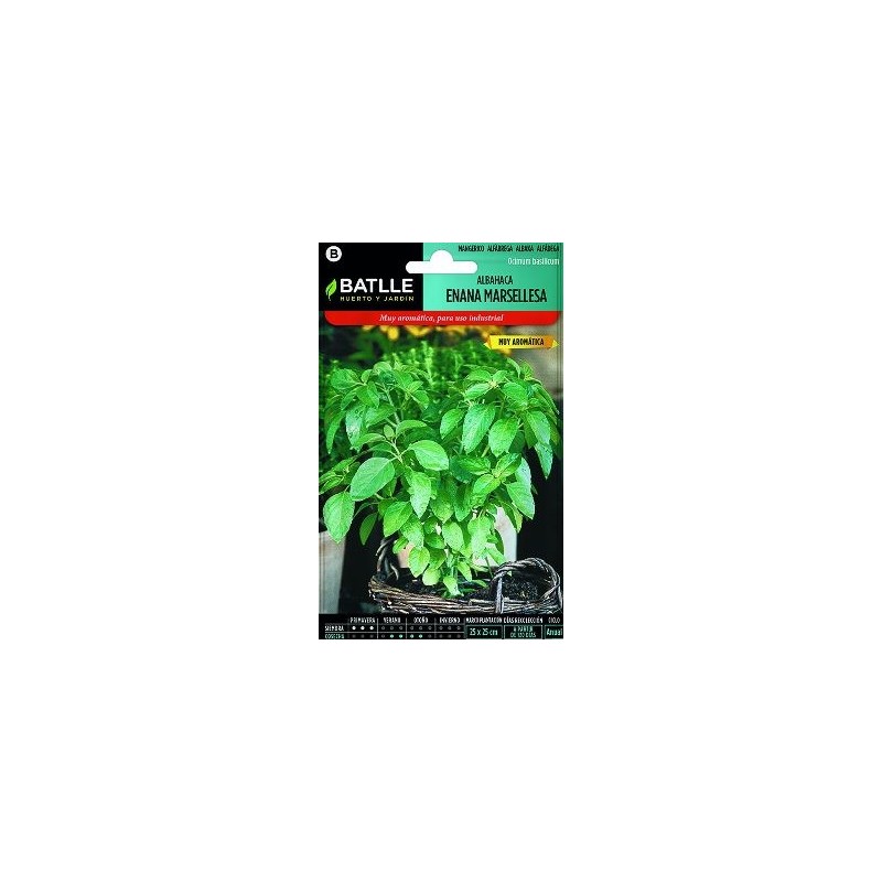 SEMILLAS ALBAHACA ENANA MARSELLESA 0.5GR