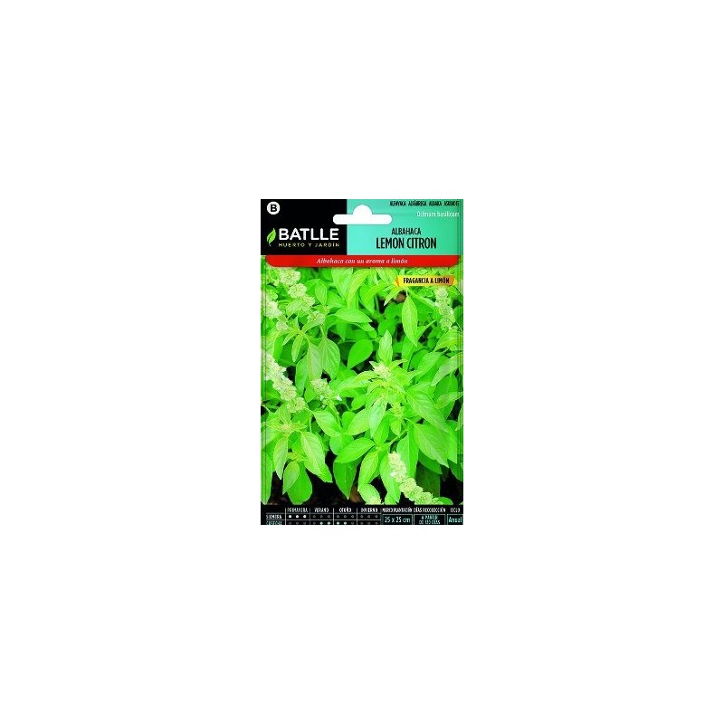 SEMILLAS ALBAHACA LIMON 1GR