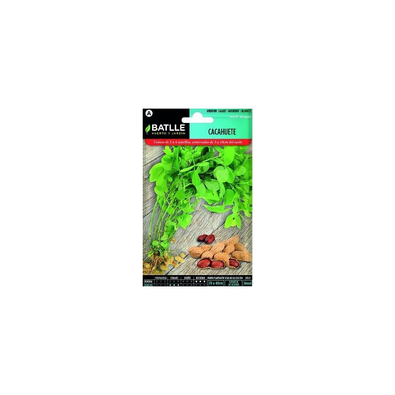 SEMILLAS CACAHUETE 10GR