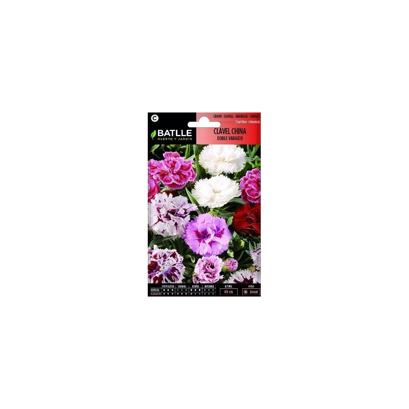 SEMILLAS CLAVEL CHINO DOBLE FLOR GRANDE 2GR
