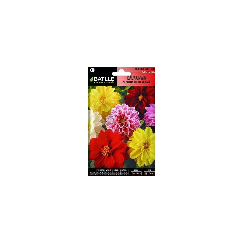 SEMILLAS DALIA UNWIN 2GR