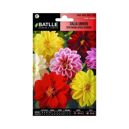 SEMILLAS DALIA UNWIN 2GR