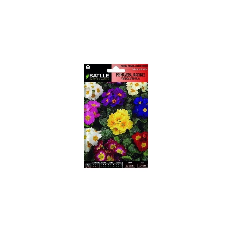 SEMILLAS PRIMAVERA DE JARDINES PRIMULA 0.25GR