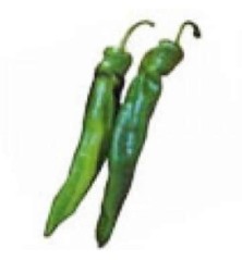 PIMIENTO ITALIANO PACK 12 PLANTONES