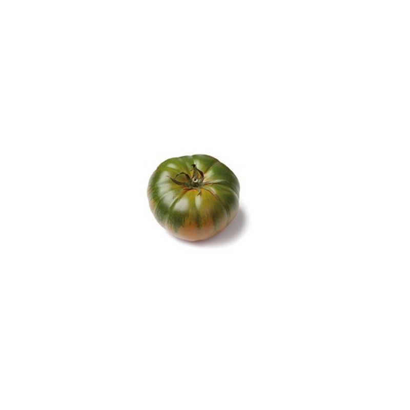 TOMATE RAF MARMANDE PACK 6 PLANTONES