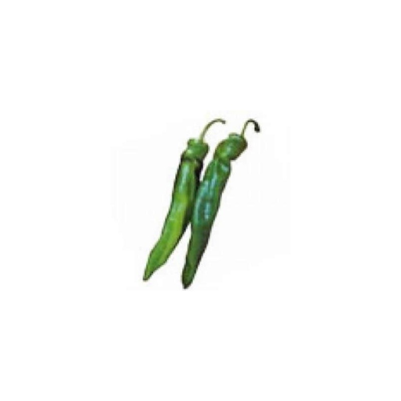 PIMIENTO ITALIANO PRODUCTO NATURAL 6 PLANTONES