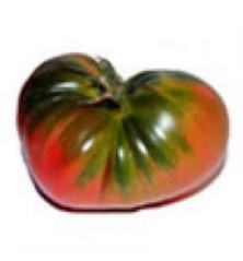 TOMATE RAF PRODUCTO NATURAL MACETA 10,5CM